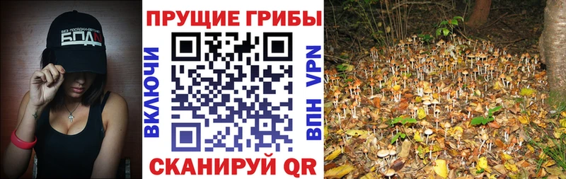 магазин наркотиков kraken вход Галлюциногенные грибы прущие грибы Саянск